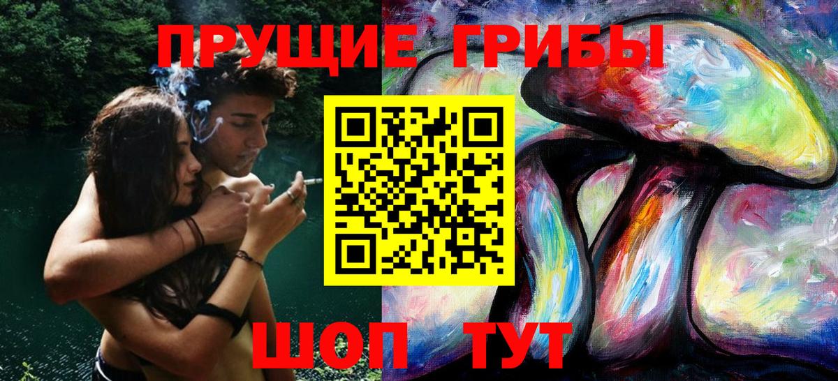 Новый Уренгой  Псилоцибиновые грибы Psilocybine cubensis  Вход с VPN 