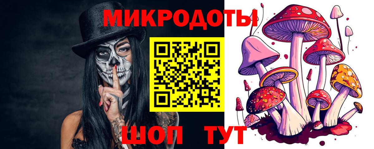 Галлюциногенные грибы Psilocybe Новый Уренгой